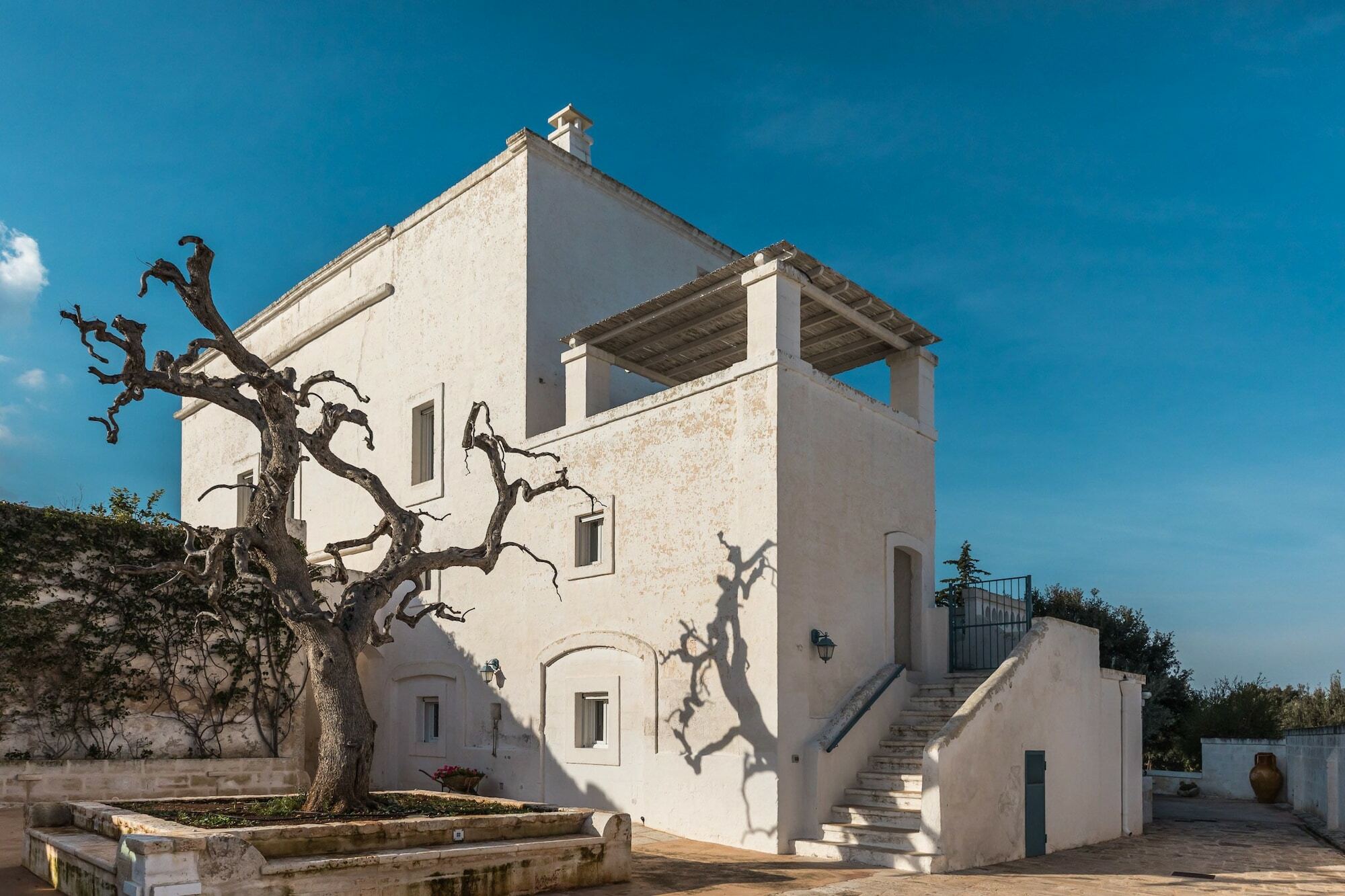 Masseria Torre Abate Risi 法萨诺 外观 照片