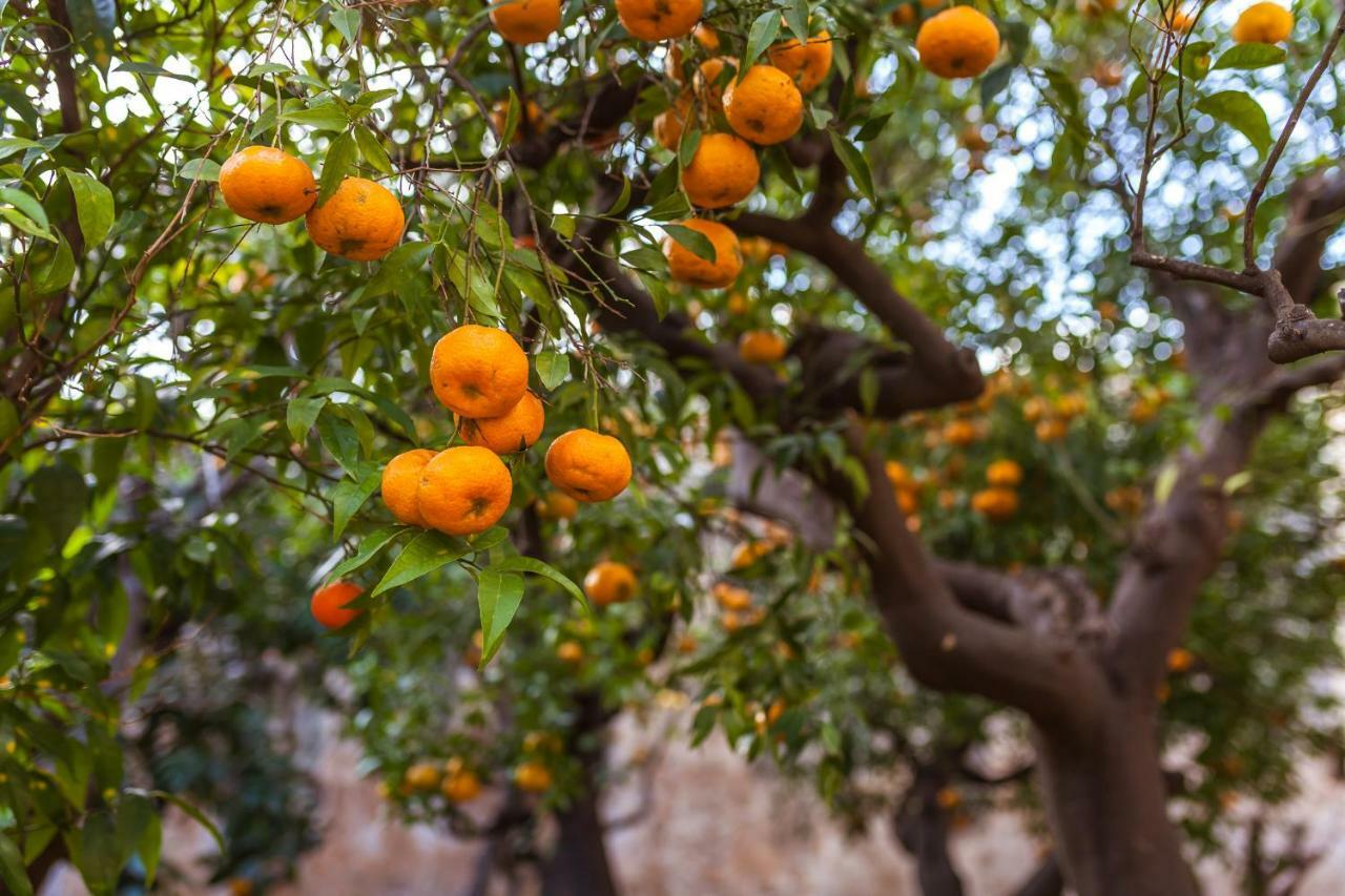 Masseria Torre Abate Risi 法萨诺 外观 照片